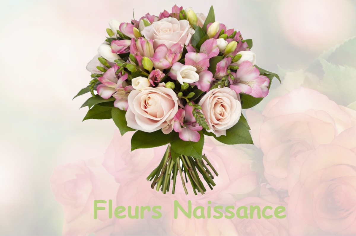 fleurs naissance VIRMING